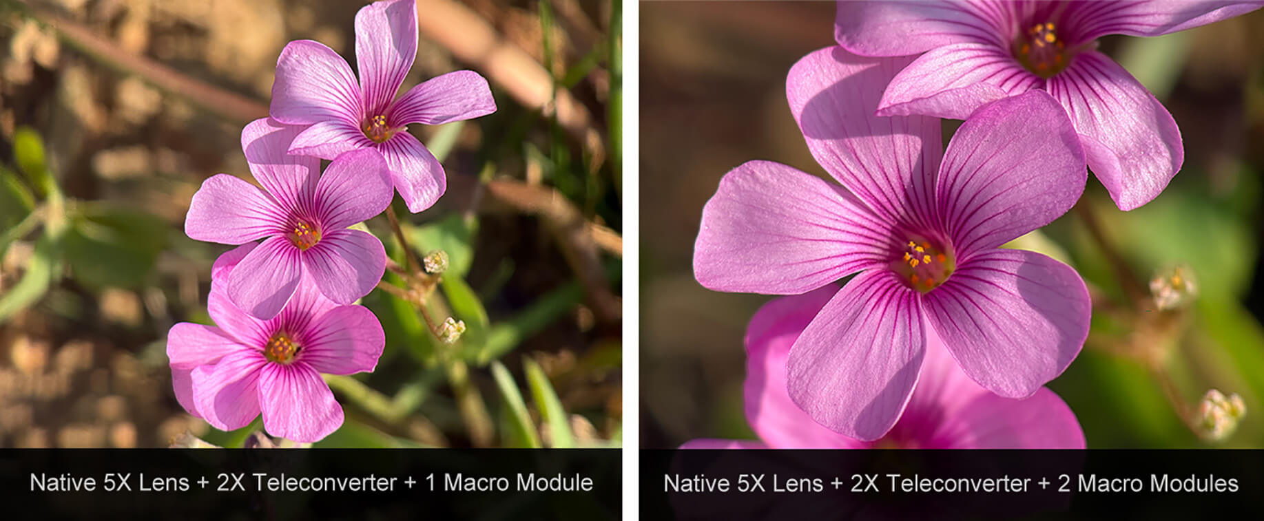Smart Phone Lens 2X Telephoto Macro Lens Kit Smart Phone Lens 2X Telephoto Macro Lens Kit